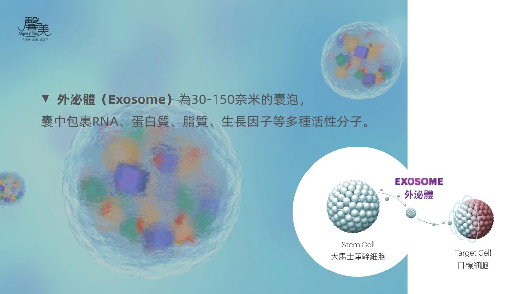 外泌體是細胞間的的訊息傳遞員